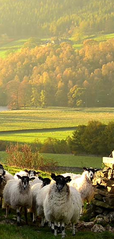 Explore the Yorkshire Dales with cottages.com