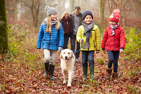 attracing winter walkers